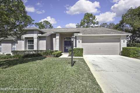 7435 Woodhollow Road, Spring Hill, FL 34606