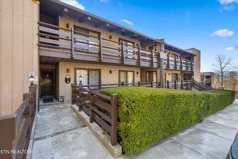 1081 Cove Rd, Sevierville, TN 37876