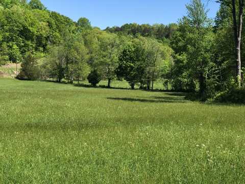 0 Chesnut Grove Road, Monticello, KY 42633