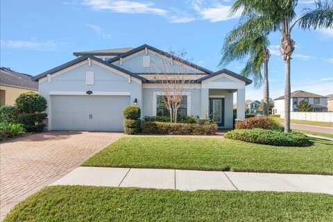 1727 NATURE VIEW DRIVE, LUTZ, FL 33558