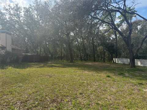 381 CARRIAGE LANE, LADY LAKE, FL 32159