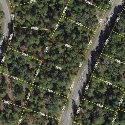 Lot 13 FISHER COURT, OCKLAWAHA, FL 32179