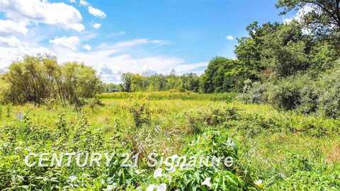 Lot 25 Northern Pintail, Hemlock, MI 48626