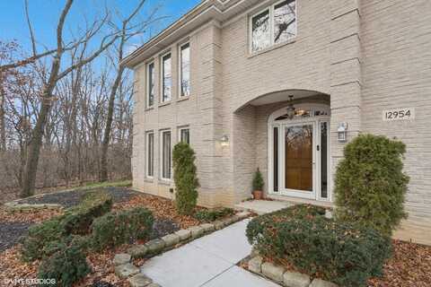 12954 W Oak View Court, Homer Glen, IL 60491