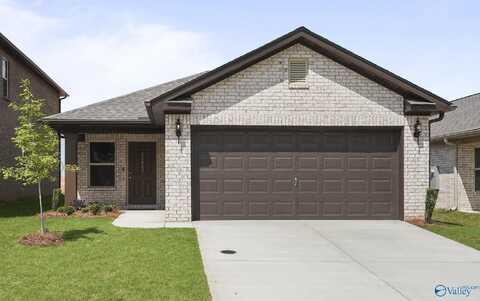 27955 Chalmers Circle, Harvest, AL 35749