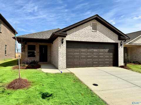 27955 Chalmers Circle, Harvest, AL 35749
