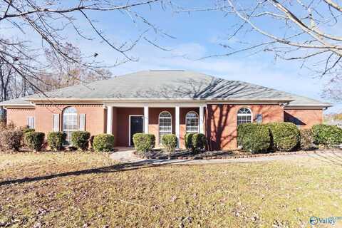 136 Honeycutt Road, Hazel Green, AL 35750