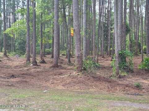 243 GEORGETOWN DENVER Road, Georgetown, FL 32139
