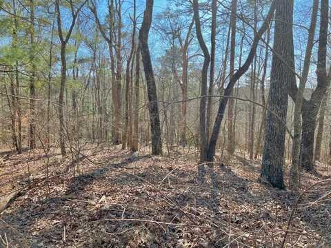 113 Beech Tree Drive, Ellijay, GA 30540