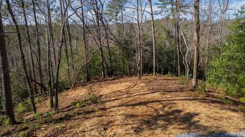324 Parody Circle, Ellijay, GA 30540