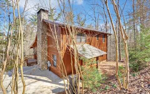 10 Lemmon Lane, Ellijay, GA 30540
