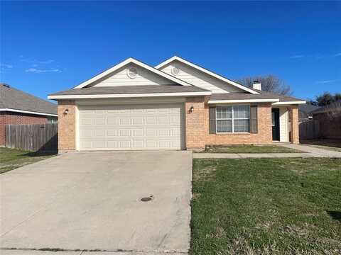 530 Del Mar Drive, Ponder, TX 76259