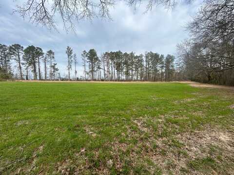 0 Springhill Road, Brantley, AL 36009