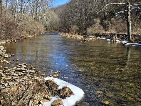 0 Upper Back Creek Road, Mill Gap, VA 24465