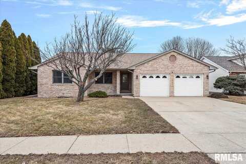 807 MULBERRY Court, Chatham, IL 62629