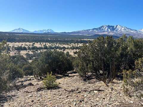 Colorado Land and Grazing lot: 62, Gardner, CO 81040