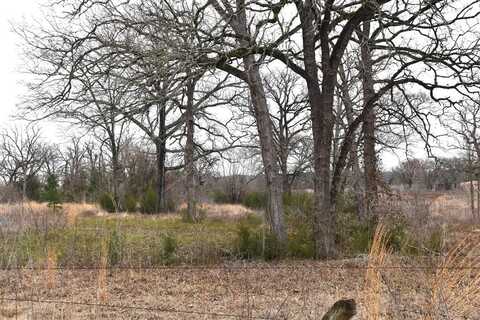 TBD FM 322, PALESTINE, TX 75801