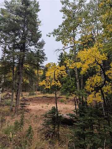 714 Will Stutley Drive, Divide, CO 80814