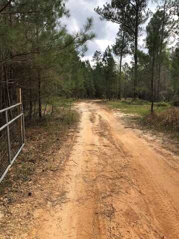 4 Progress Silver Run Rd, Poplarville, MS 39470