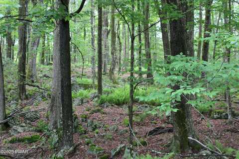 Lot 2219 Hemlock Terrace N, Greentown, PA 18426