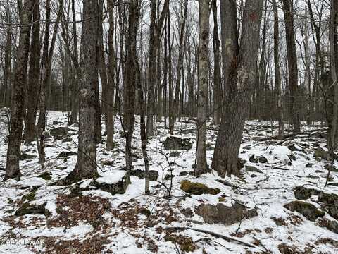 Lot 2219 Hemlock Terrace N, Greentown, PA 18426