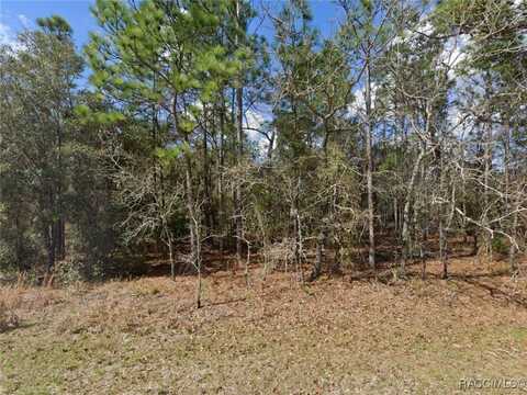 0 Flemington, Weeki Wachee, FL 34614