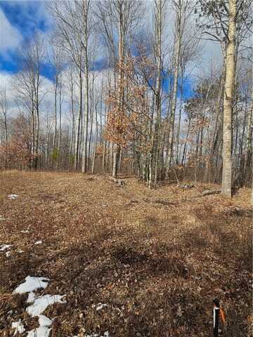 Lot 4 LOT 4 FIRE HILL ROAD, Gordon, WI 54838