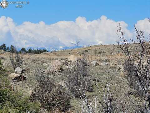 839 Shannon Trail, Cotopaxi, CO 81223