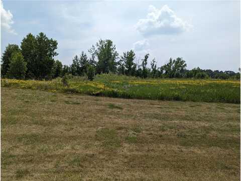 Null Lot 3 Blk 2 Geneva Golf Club Drive, Alexandria, MN 56308