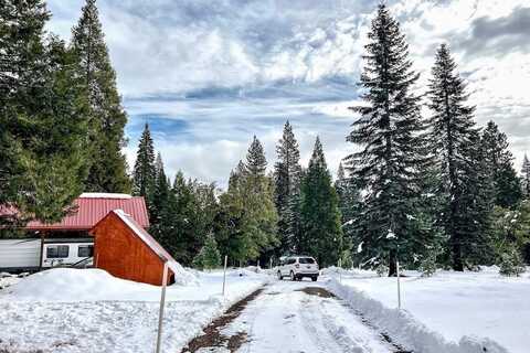 1-D-8 Mt Shasta Dr, McCloud, CA 96057