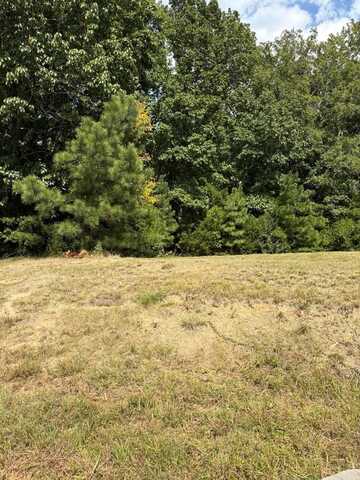 Lot 6 Fern Drive, Clarksville, VA 23927