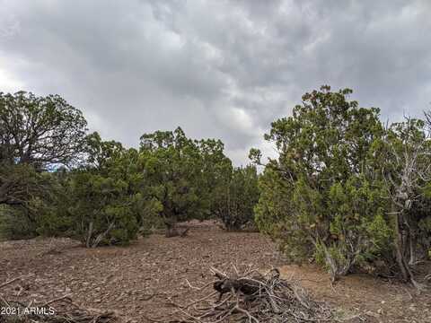 Lot 79 Ranch Road, Vernon, AZ 85940