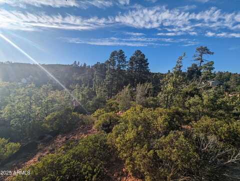 922 OLD SETTLER Trail, Show Low, AZ 85901