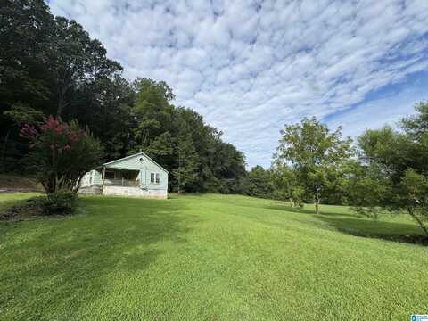 1091 ROCKY HOLLOW ROAD, BLOUNTSVILLE, AL 35031