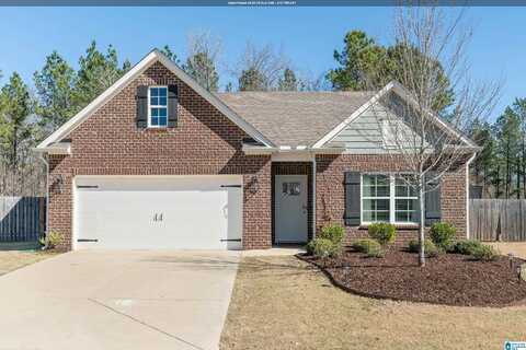 1080 PARK VIEW DRIVE, CHELSEA, AL 35043