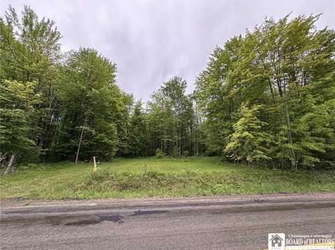 0 Donelson Road, Best, NY 14701