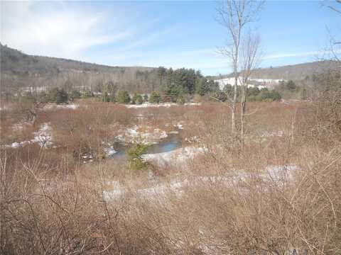 Prospect Valley Road, Candor, NY 13864