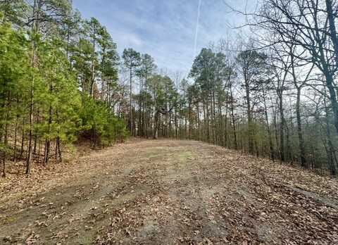 169 Brooke Ln., Bee Branch, AR 72013