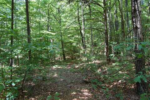 0 Elk Drive, Dunlap, TN 37327