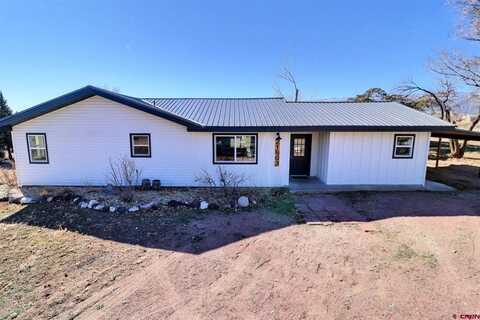 21603 Vaca Drive, Eckert, CO 81418