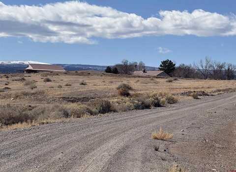 TBD Lone Eagle Road, Montrose, CO 81403