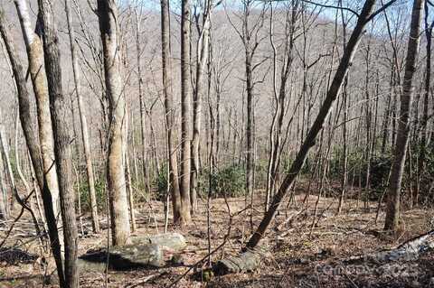 15 Wood Haven Lane unit: 110, Black Mountain, NC 28711