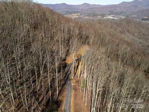 1414 Easy Wind Drive unit: 56, Swannanoa, NC 28778