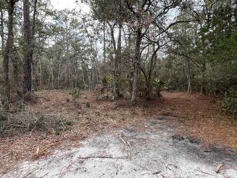 2.74ac Dove Run Road, Holt, FL 32564