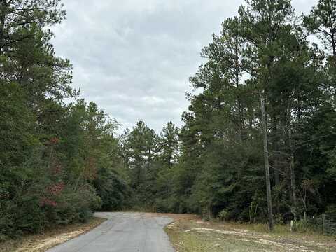 Parcel B Turkey Track Street, Crestview, FL 32539