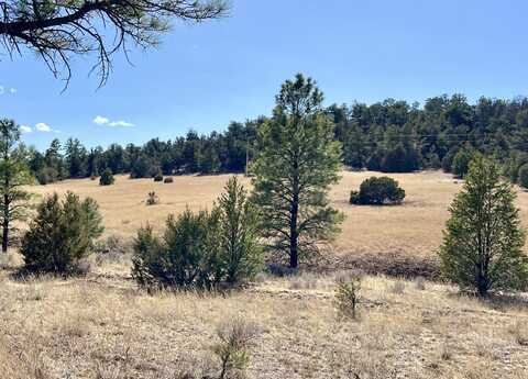 Juniper Drive lot: 9, Ramah, NM 87321