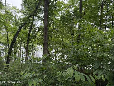 35 Penn Run Rd, Bee Springs, KY 42207