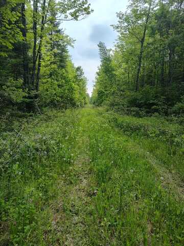 On MEISTER STOCKLEY RD, Pelican Lake, WI 54463