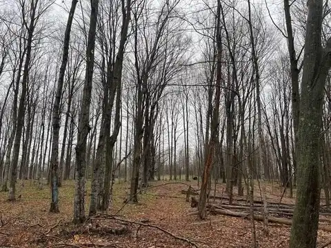 Nulla V/L Lake Ann Rd., Lake Ann, MI 49650