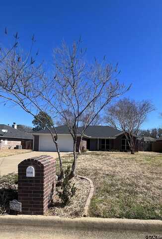 20760 Bluegrass Circle, Flint, TX 75762